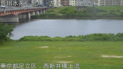 arani2026061115_image