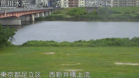 arani2026061116_image