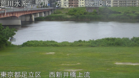 arani2026061117_image