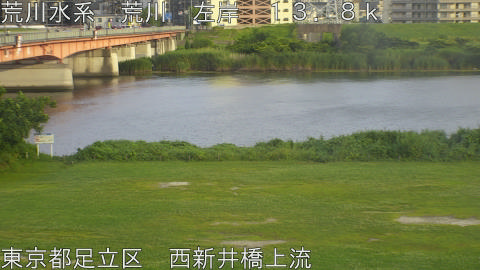arani2026061118_image