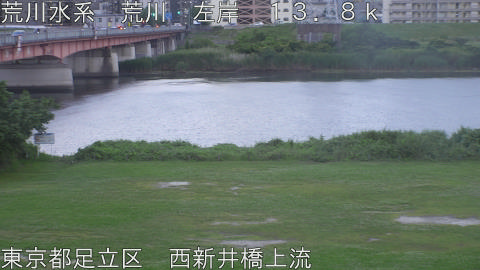 arani2026061119_image