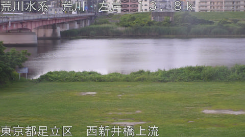 arani2026061205_image