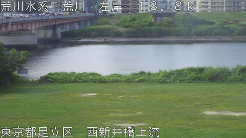 arani2026061208_image