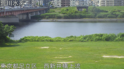 arani2026061209_image