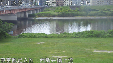 arani2026061210_image