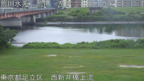 arani2026061211_image