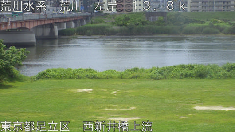 arani2026061212_image