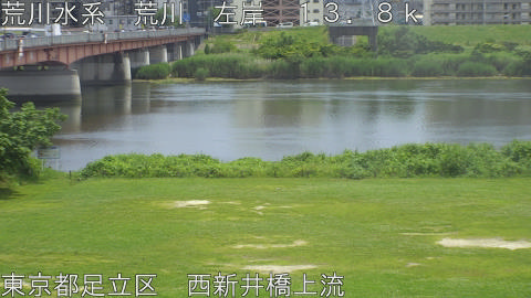 arani2026061213_image