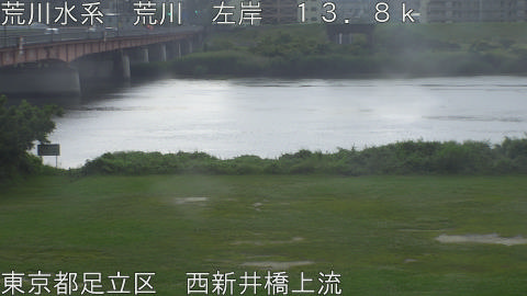 arani2026061214_image