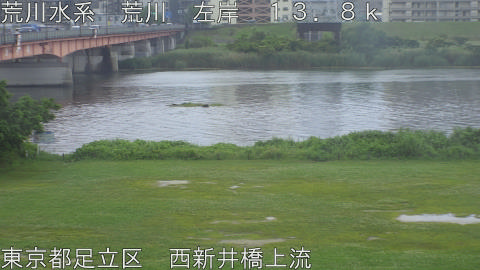 arani2026061215_image