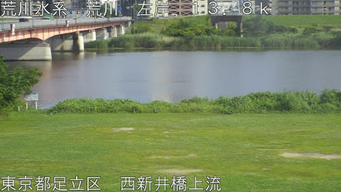 arani2026061216_image