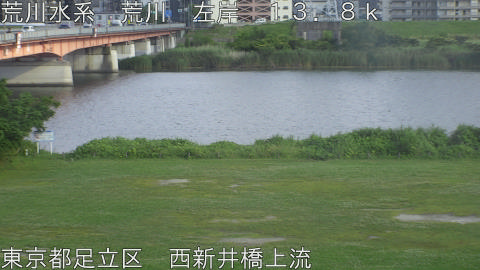 arani2026061217_image