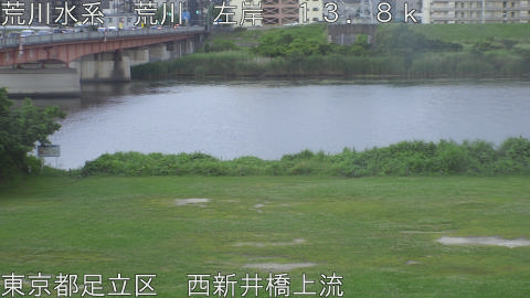 arani2026061218_image