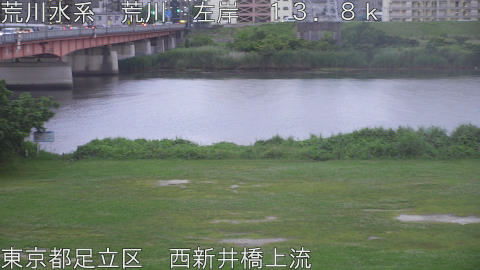 arani2026061219_image