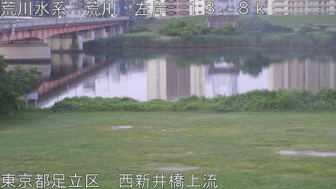 arani2026061305_image