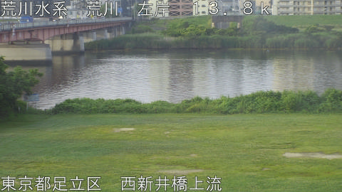 arani2026061306_image