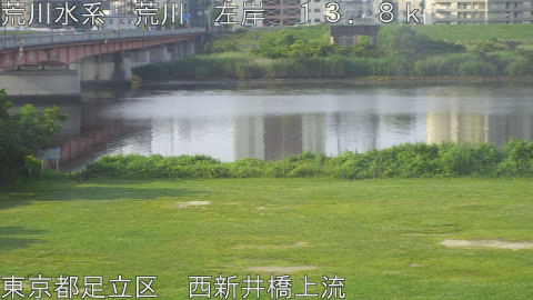 arani2026061307_image