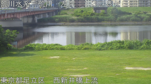 arani2026061308_image