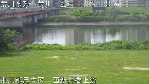 arani2026061309_image
