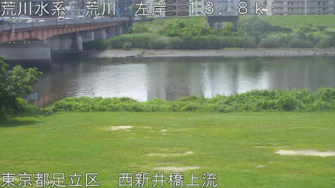 arani2026061310_image