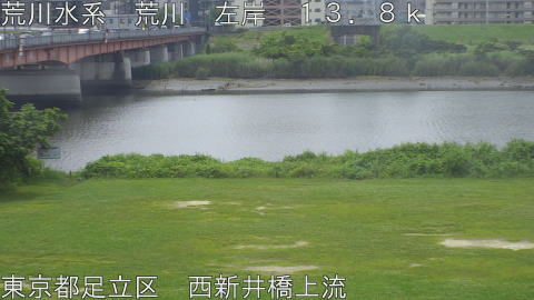 arani2026061311_image