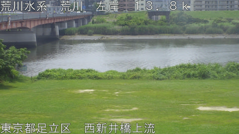 arani2026061312_image