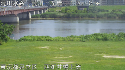 arani2026061314_image