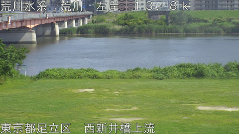arani2026061315_image