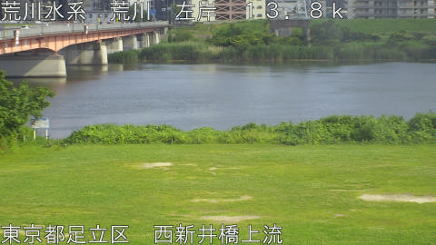 arani2026061316_image