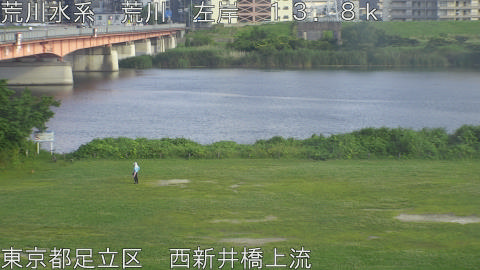 arani2026061317_image
