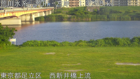 arani2026061318_image
