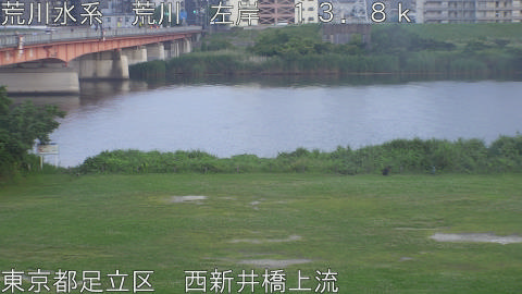 arani2026061319_image