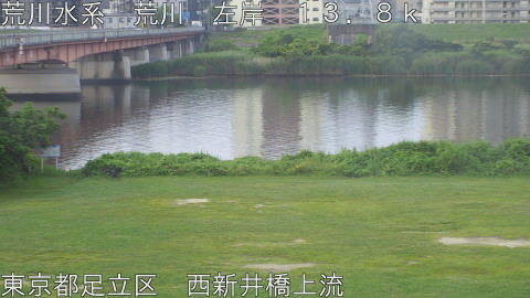 arani2026061406_image