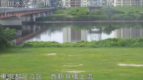 arani2026061408_image