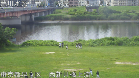 arani2026061409_image