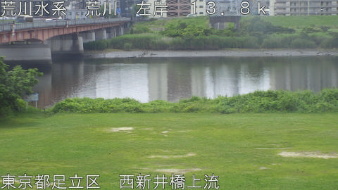 arani2026061410_image