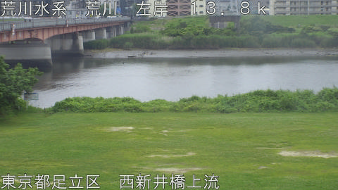 arani2026061412_image