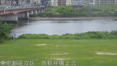arani2026061413_image