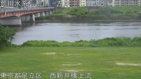arani2026061415_image
