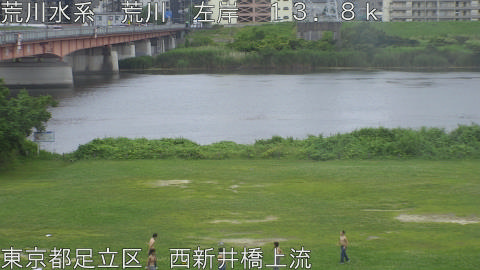 arani2026061416_image