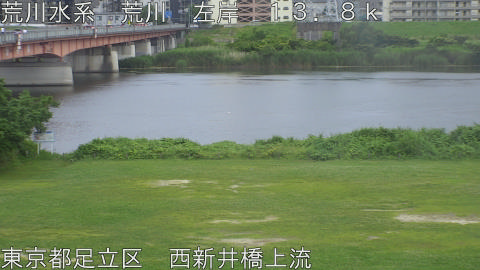 arani2026061417_image