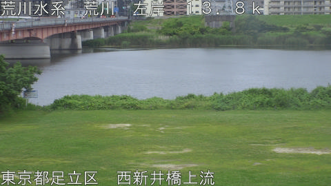 arani2026061418_image
