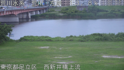 arani2026061419_image