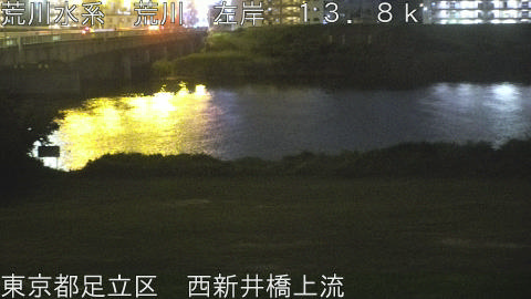 arani2026061421_image