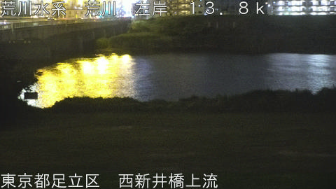 arani2026061422_image