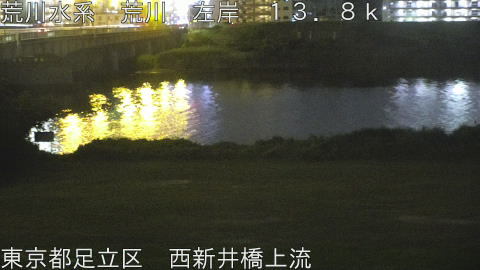 arani2026061423_image