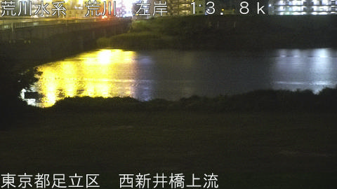 arani2026061503_image