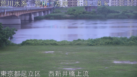arani2026061505_image