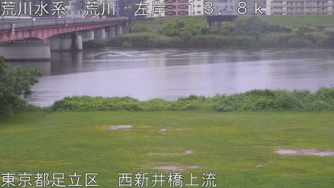 arani2026061506_image