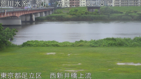 arani2026061507_image
